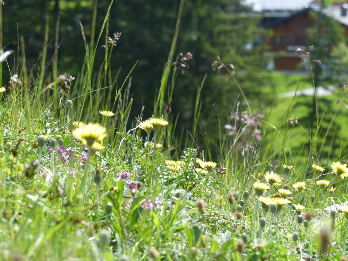 Alpinresortmontafon Garni Gargellen Exterior foto